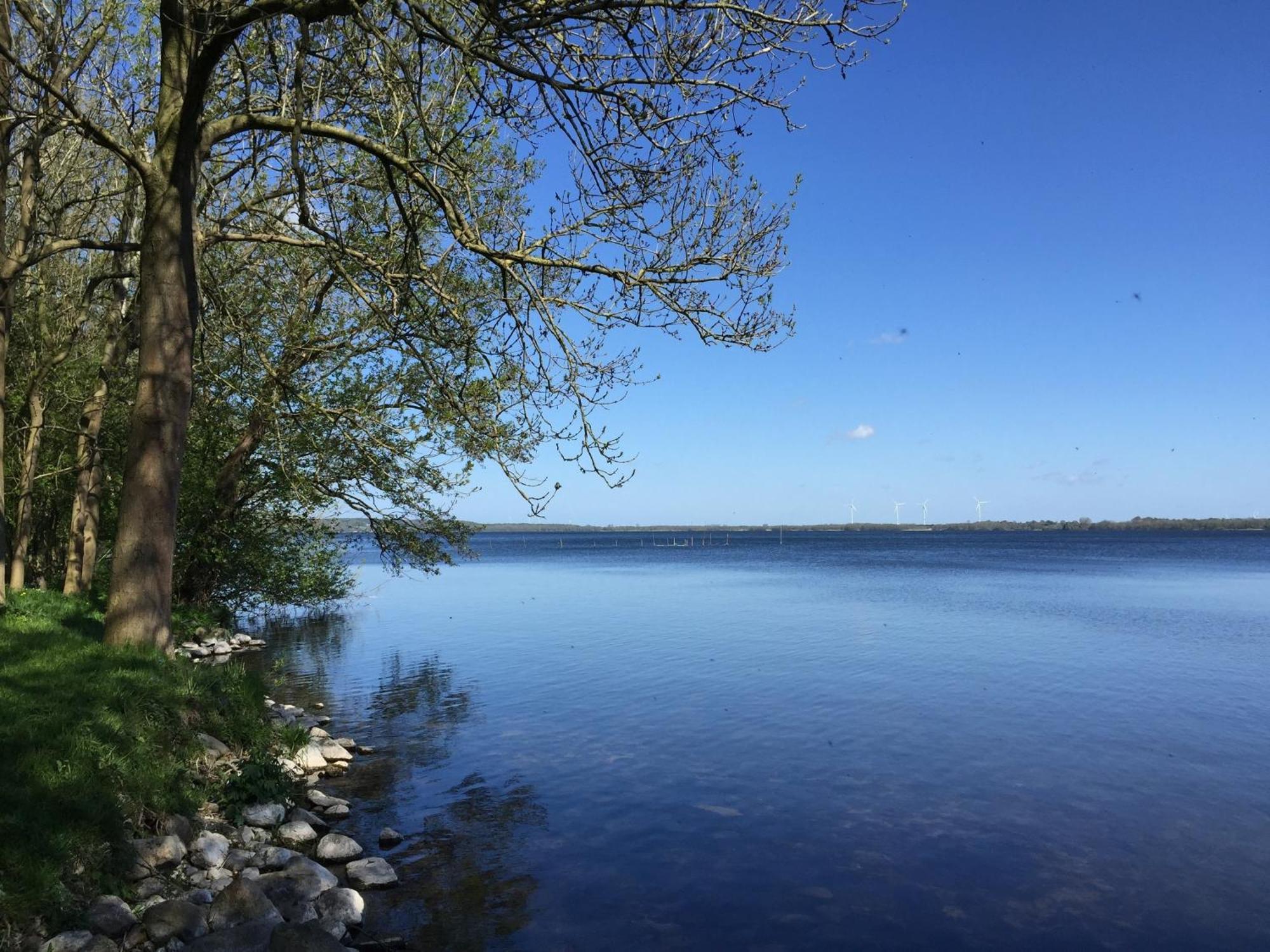 Frietied Am Wittensee Bunsdorf Экстерьер фото
